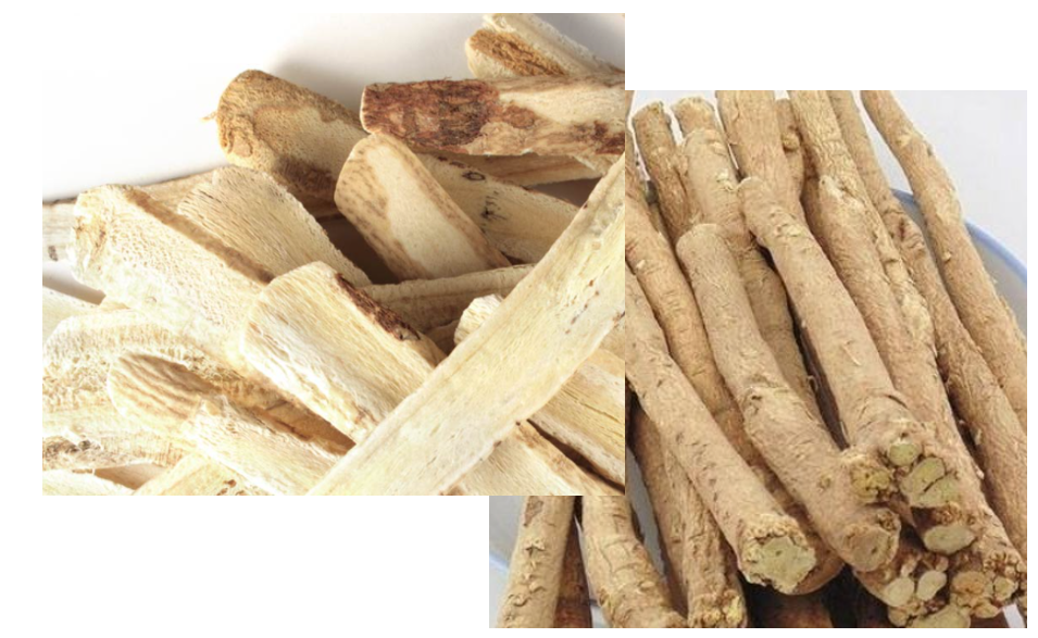 아이클타임-성분