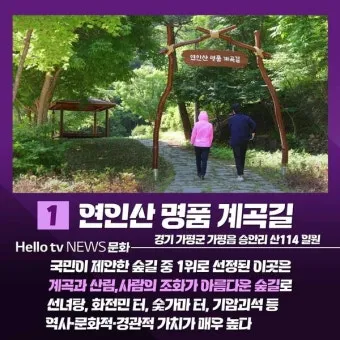 걷기좋은 명품 숲길 30선 숨겨진 코스_28