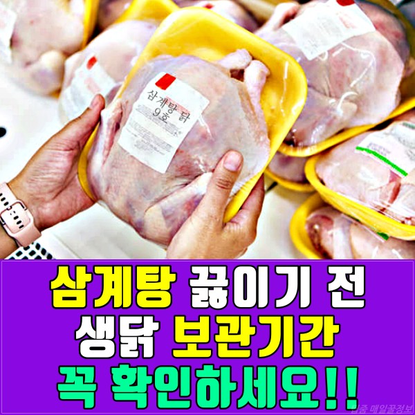 삼계탕 닭냉장보관기간, 닭고기보관기간, 냉동닭보관기간, 생닭보관기간,