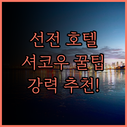 선전 서커우 하이상스제 RANY 루이