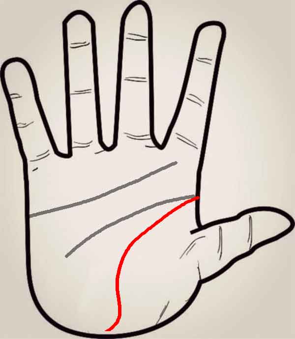 변화를 좋아하는 손금