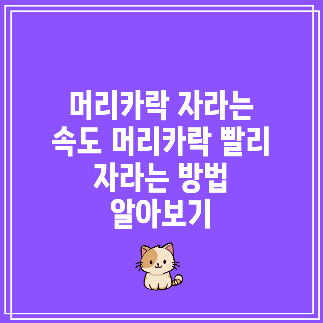 머리카락 자라는 속도 머리카락 빨리 자라는 방법 알아보