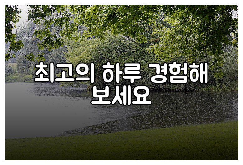 최고의 하루 경험해 보세요