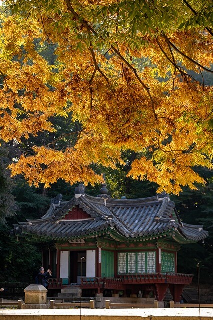 2025 경복궁 교태전 개방 선착순 예약