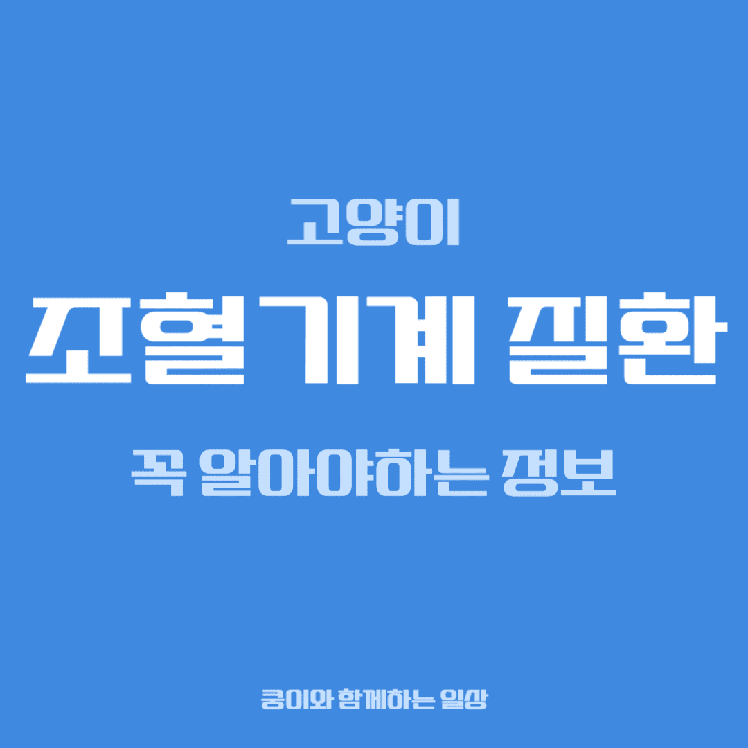 고양이 조혈기계 질환, 집사가 꼭 알아야 할 정보