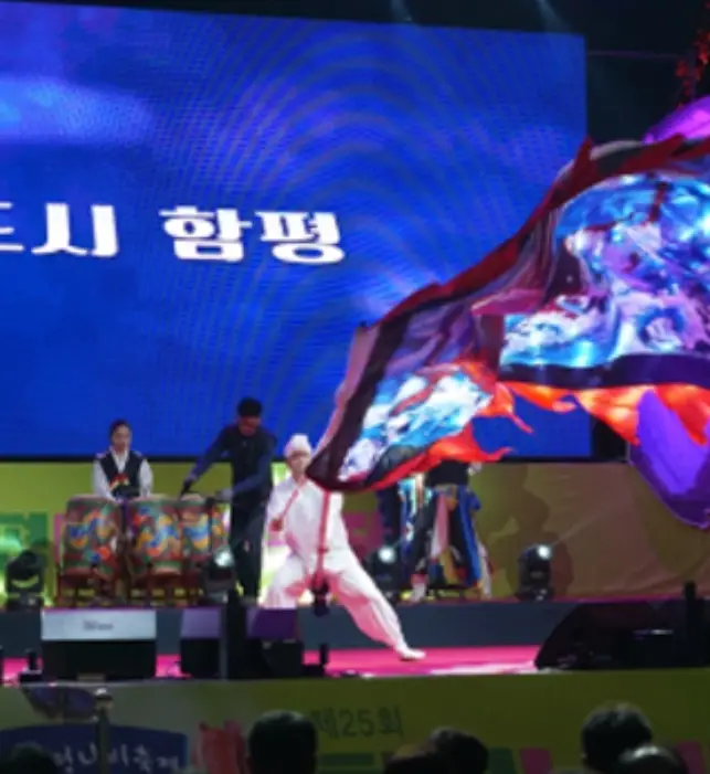함평나비축제 기간, 주차장, 행사내용