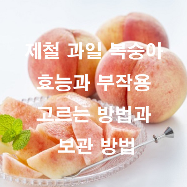 제철 과일 복숭아 효능과 부작용 고르는 방법과 보관 방법