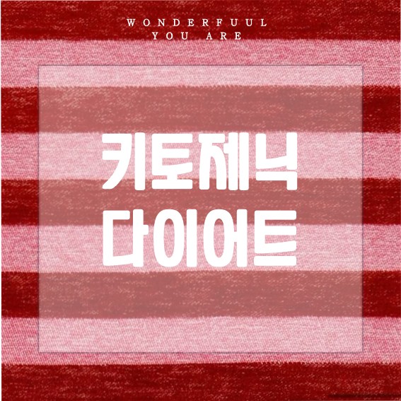 키토제닉 다이어트 핵심 가이드: 식단, 효과, 주의점까지