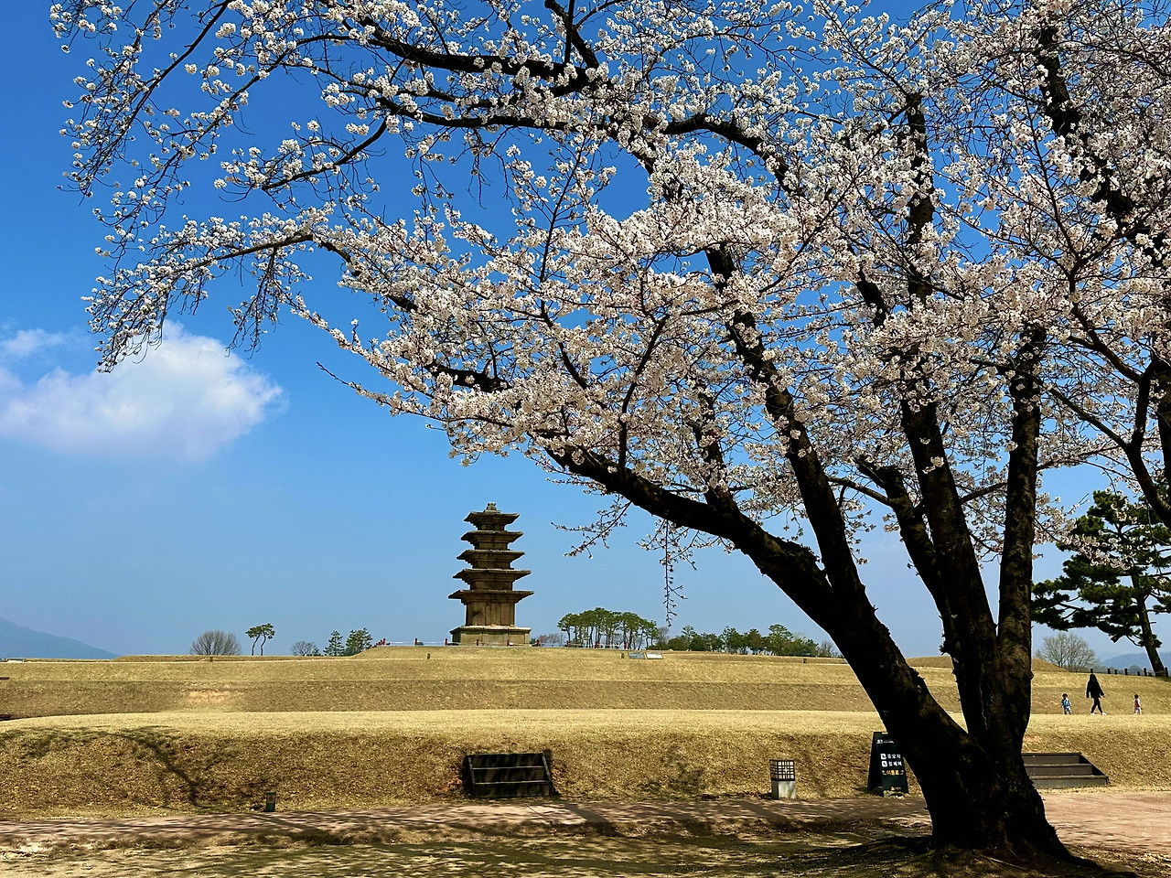 익산 살기 좋은 동네 vs 불편한 동네 &mdash; &lsquo;좋고 나쁨&rsquo;보다 &lsquo;맞고 안 맞음&rsquo;의 문제