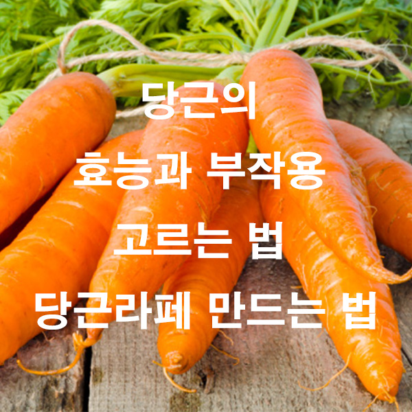 당근의 효능과 부작용 고르는 법 당근라페 만드는 법