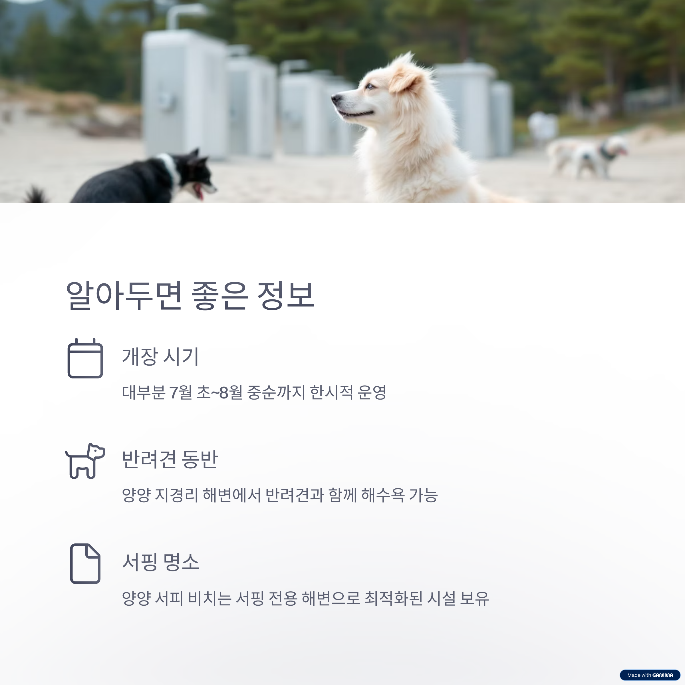 강원도 여름 해수욕장 여행지 BEST 8 – 동해, 강릉, 양양 명소 총정리