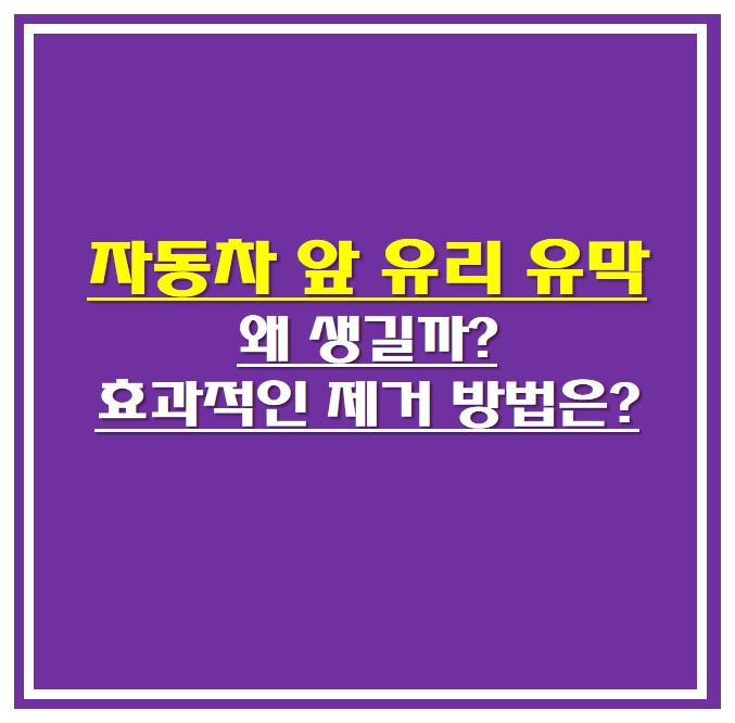 자동차 앞 유리 유막 제거 썸네일 사진