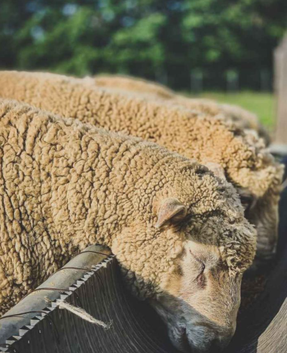 강원도 가볼만한곳 베스트10