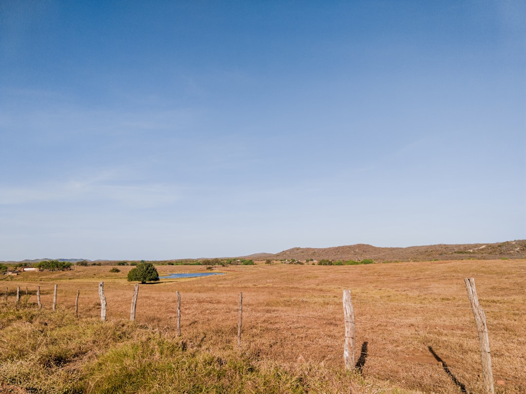 Official land price
