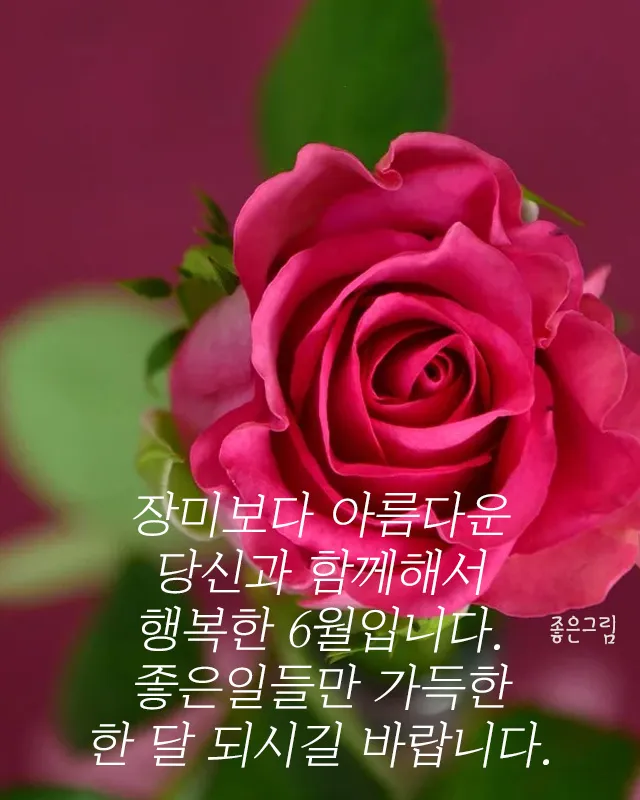 6월 인사말 예시 모음 카톡_7