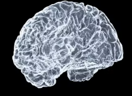 뇌졸중 전조증상 5가지 예방법 원인