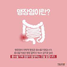 맹장염 증상과 원인