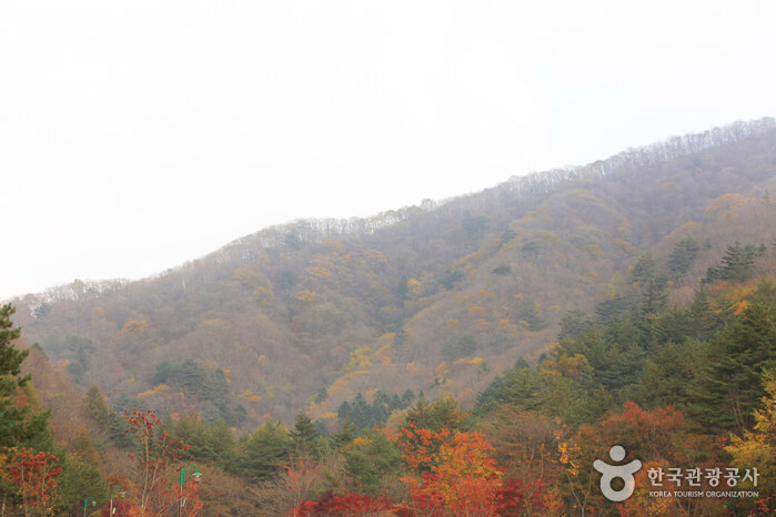 계방산 (사진출처:대한민국구석구석)