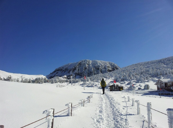 겨울 제주도 여행