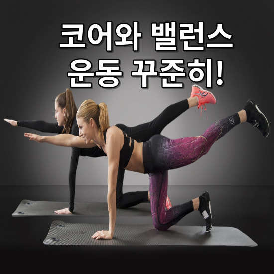 코어와밸런스운동