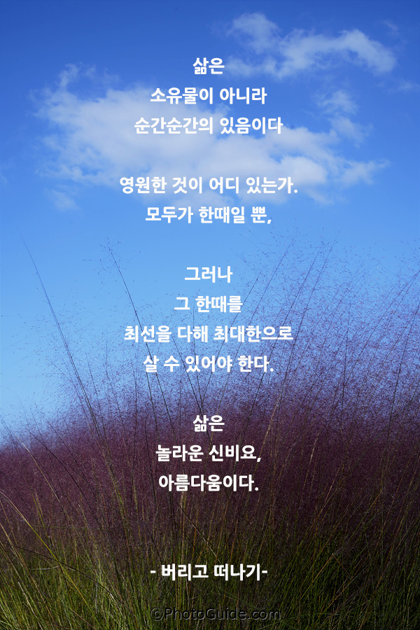 법정스님명언