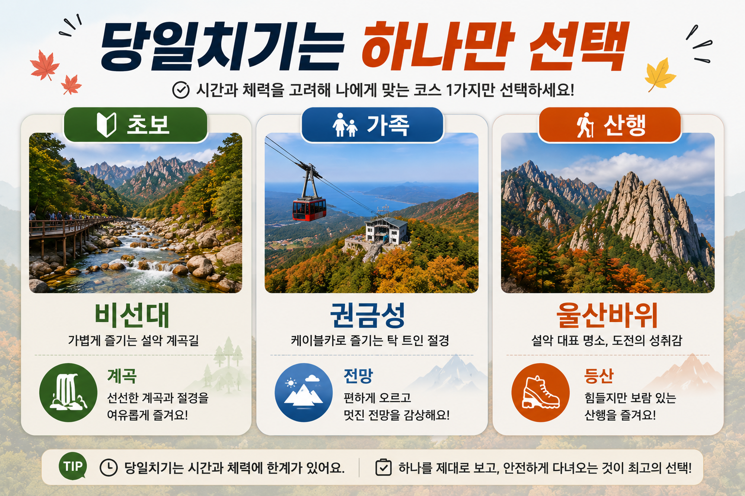 설악산 단풍 초보 가족 산행 당일치기 일정 비교