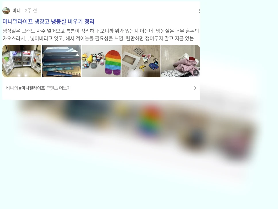 냉동실 정리_2_subsection