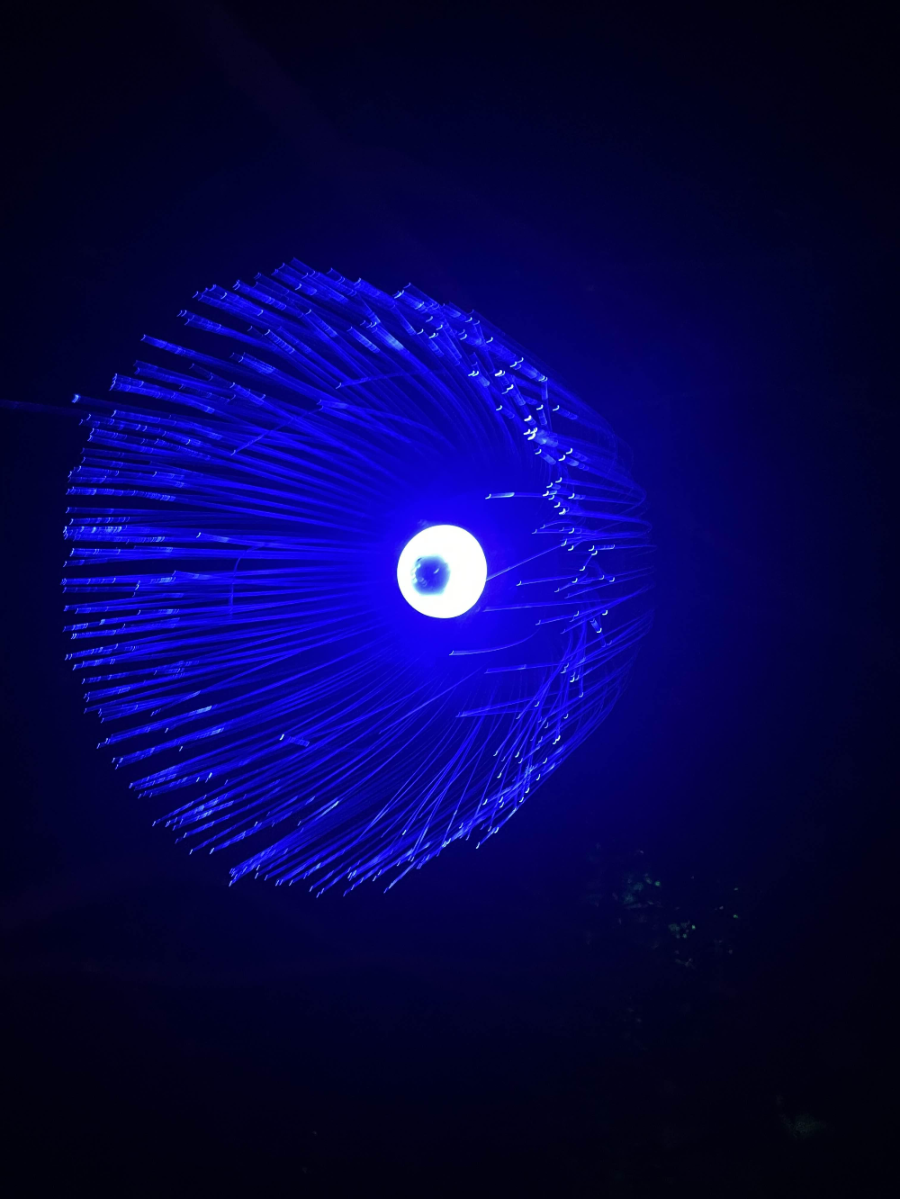 꽃빛의 메조포르테3