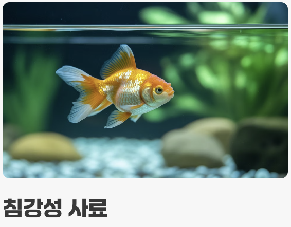 먹이 관리 - '천천히, 조금씩'이 핵심