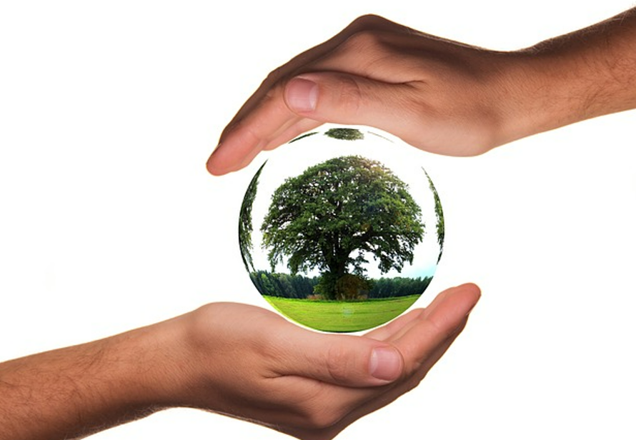 기후 에너지 환경부 출범, 탄소중립 시대를 여는 첫걸음