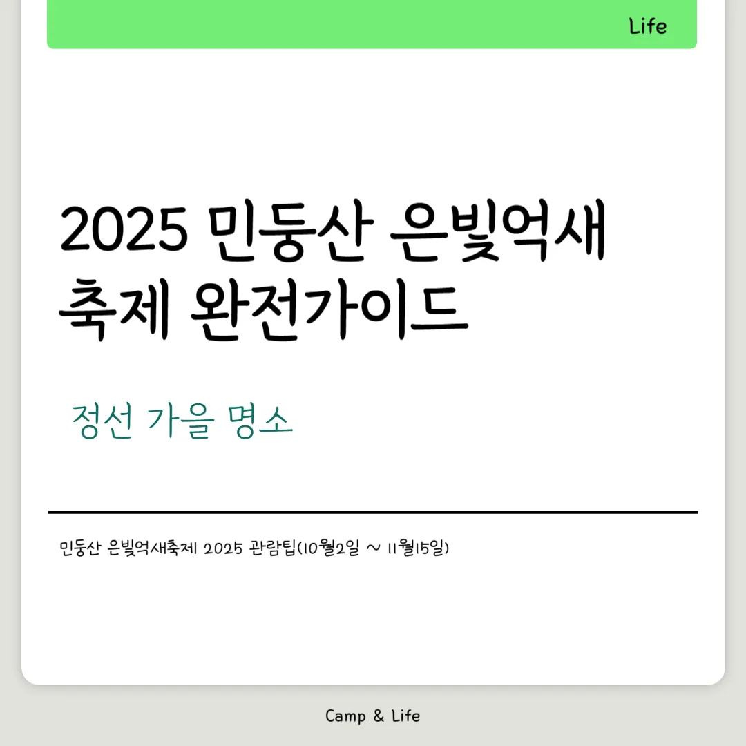 2025 민둥산 은빛억새축제