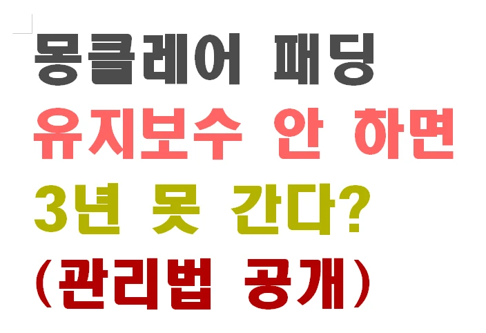 몽클레어 패딩 유지보수 안 하면 3년 못 간다? (관리법 공개)