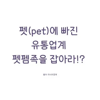 안되네요 안돼네요 맞춤법 참고 자료집_8