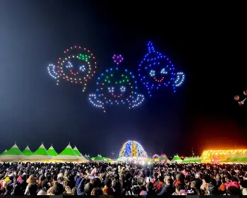 고흥 유자축제_11