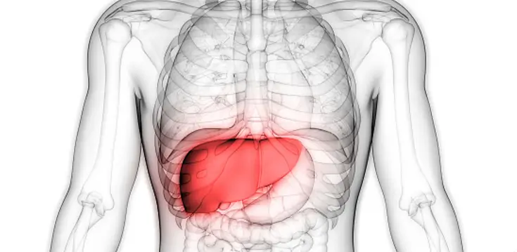 감마지티피 수치 높을 때 나타나는 증상