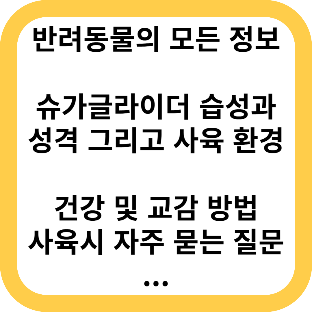 슈가글라이더