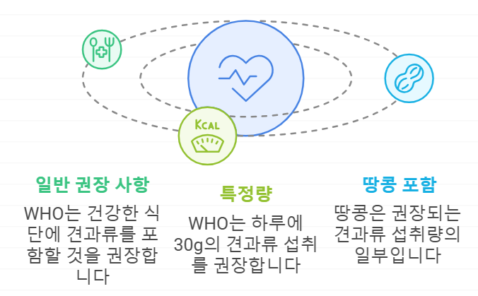 WHO의 견과류 섭취 권장 사항