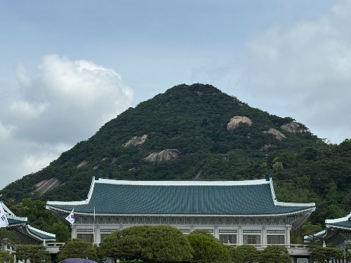 청와대 관람 예약