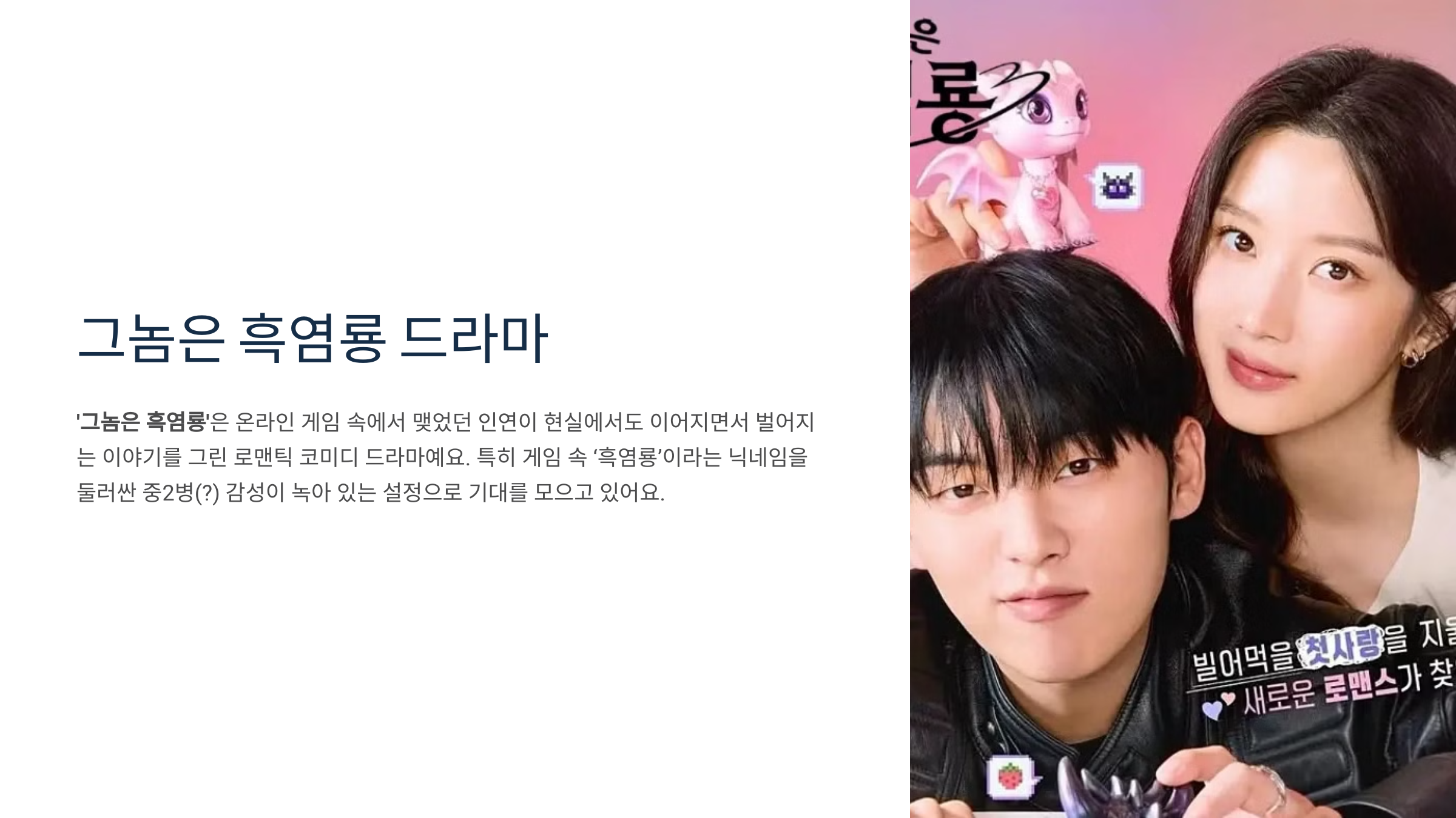 그놈은 흑염룡 드라마