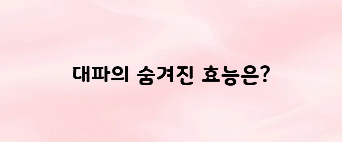 대파 효능 7가지 – 면역력·혈액순환에 좋은 이유는?
