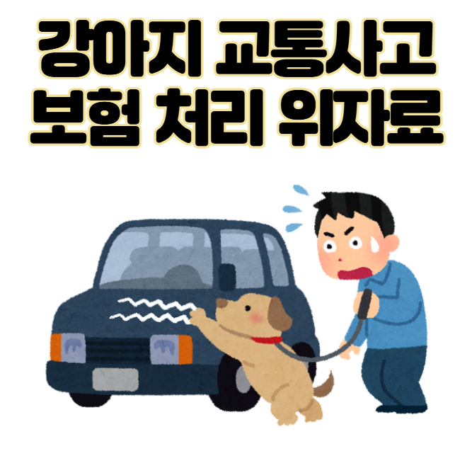 강아지 교통사고, 보험 처리부터 위자료까지 A to Z 총정리
