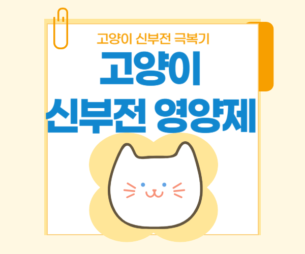 고양이 신부전 영양제라고 써있는 글씨와 고양이 그림이 있는 사진