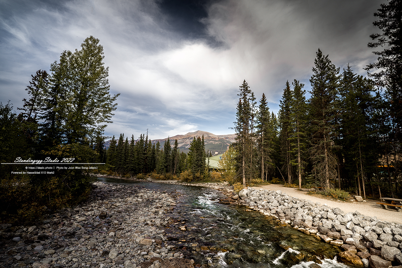 #캐나다 #로키 #강 #숲 #캐나다여행