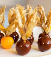 초코렛 코팅이 된 골든베리 사진