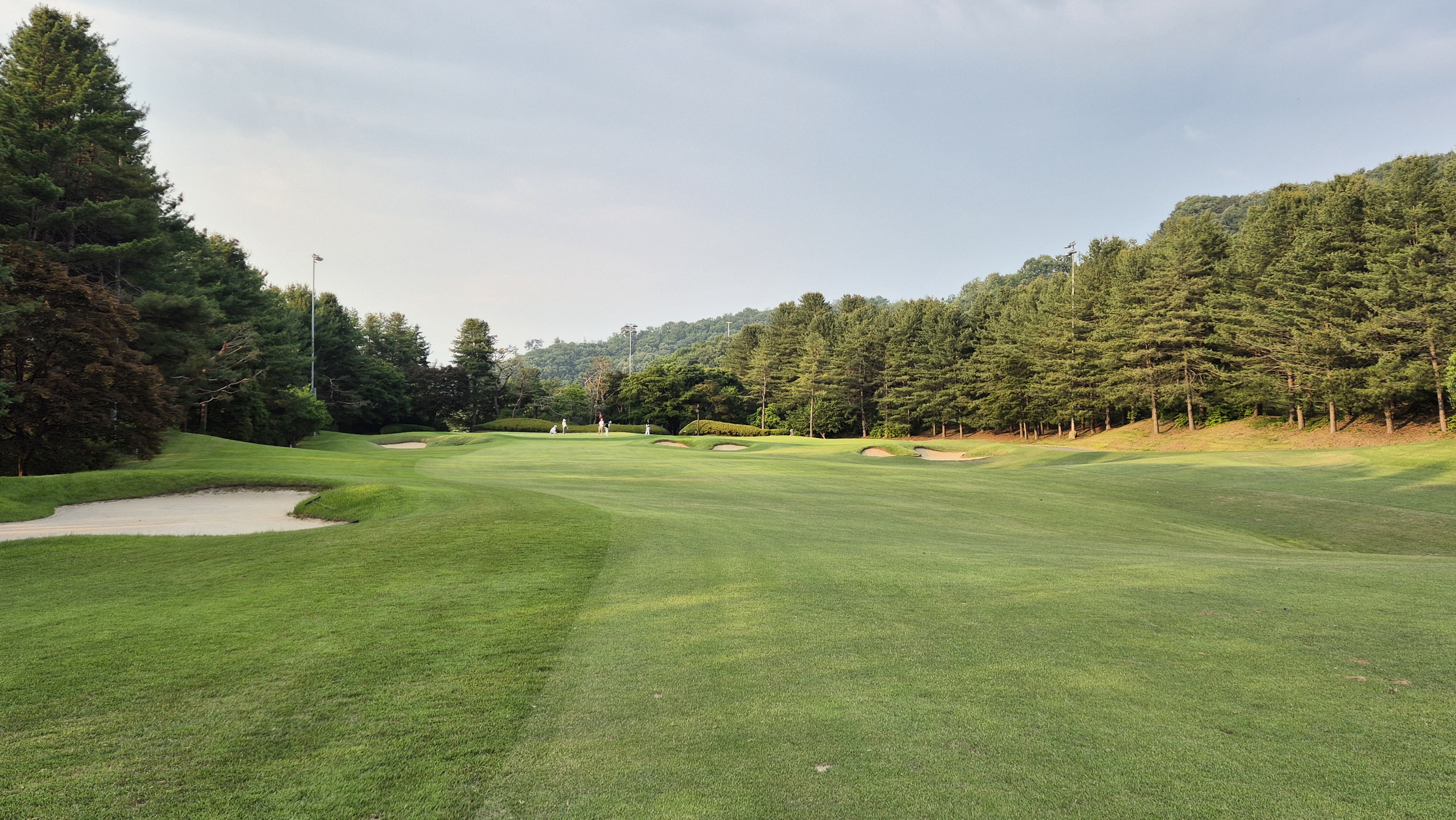 이포cc 라운드 후기