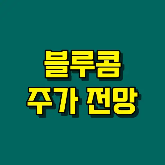 블루콤 주가 전망