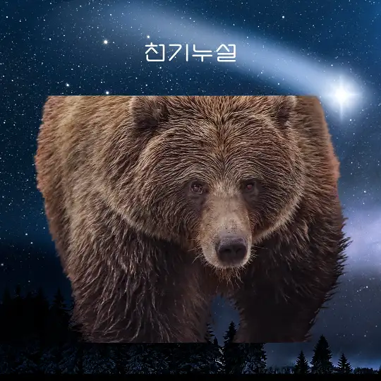 곰이 나오는 꿈 해몽