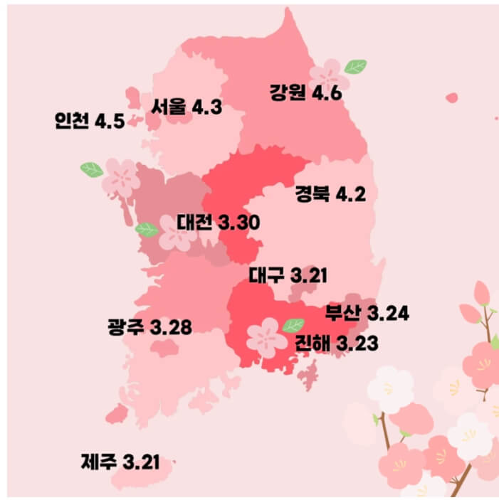 2025 벚꽃 개화시기 벗꽃개화시기 벚꽃개화지도 벗꽃개화지도 사진촬영꿀팁
