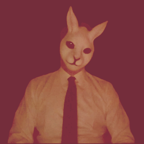 전투토끼 -YouTube