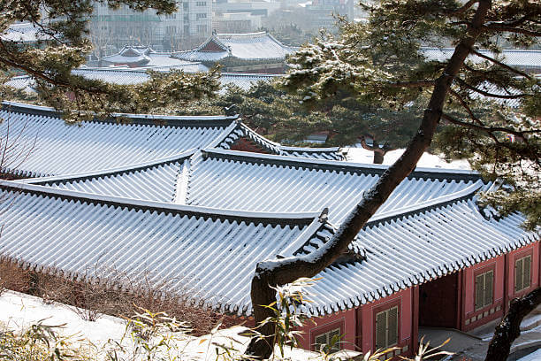 창경궁 무료관람 /창경궁 가는 방법 /창경궁 명소